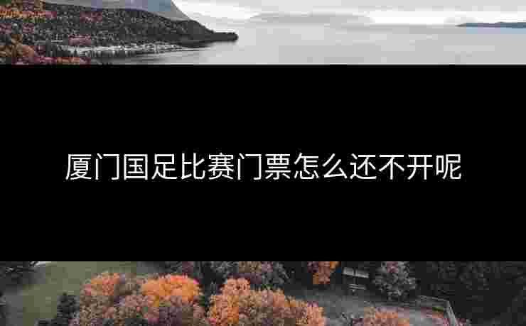 厦门国足比赛门票怎么还不开呢