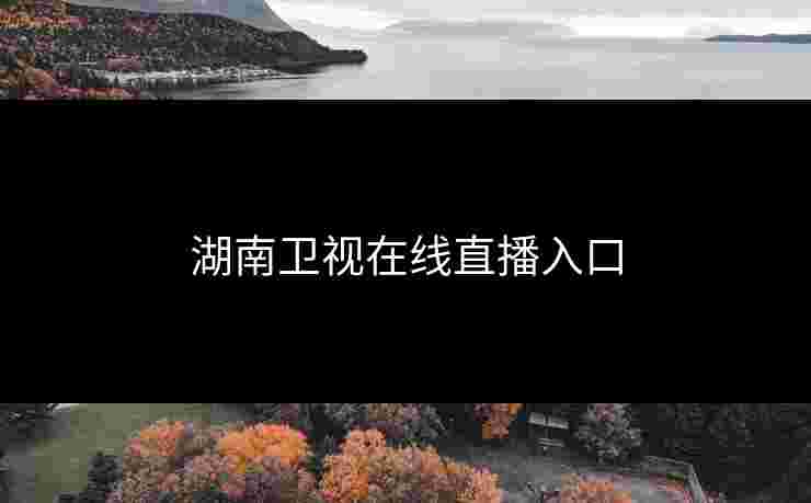 湖南卫视在线直播入口
